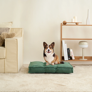 Pet Beds & Mats