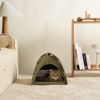 Adventure Trails Pet Bed