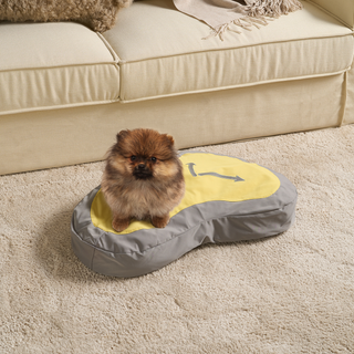 Plush Paws Timekeeper Pet Bed