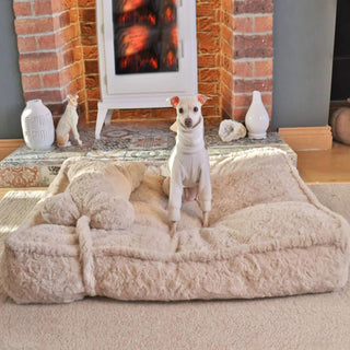 Warming Fluffy Bone Cloud Shape Calming Dog Bed