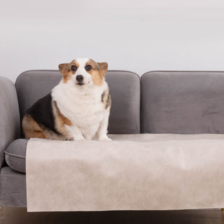 Waterproof Sofa Cover for Pets