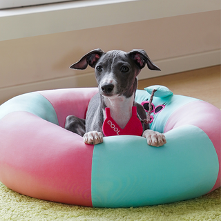 ZEZE Pets Cooling Floatie Pet Bed