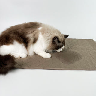 Tapis de lit imperméable pour chien 