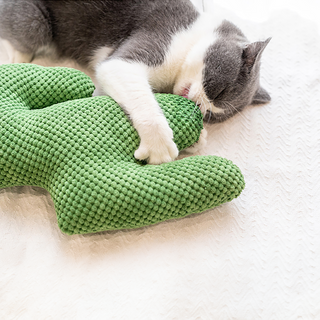 ZEZE Pets Cactus Catnip Toy