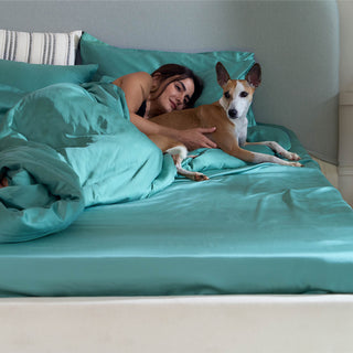 Bamboo Sheet Set & Duvet Cover - Pet Hair Repellent for Dogs/Cats Family