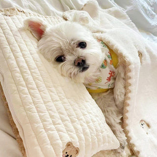 Cozy Embroidered Cotton Dog & Cat Pillow Quilt Bed Set