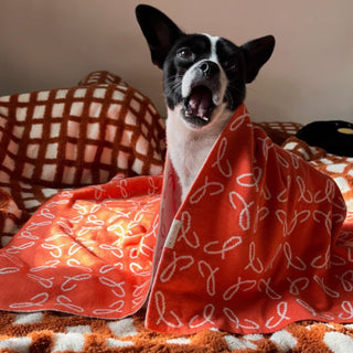 Ultra-Soft Cozy Dog & Cat Nap Blanket