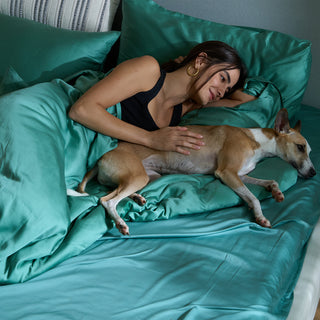 Housse de couette en bambou - Répulsif contre les poils d'animaux pour la famille des chiens/chats 