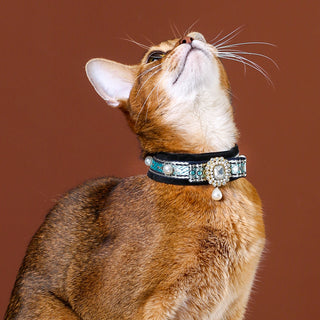 Collier ras du cou en velours pour chats