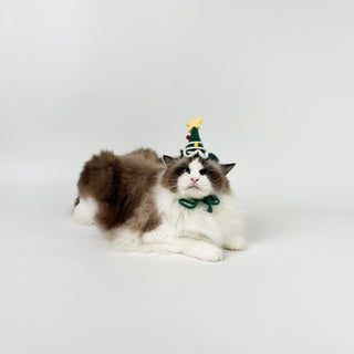 Hand Knit Christmas accessories for Pets