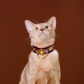 Collier ras du cou en velours pour chats