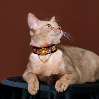 Collier ras du cou en velours pour chats