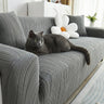 Charcoal Gray