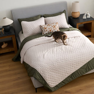 Dotted Pattern Quilt Set - Pet Hair Repellent for Families with Dogs/Cats