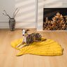 Ginkgo Yellow