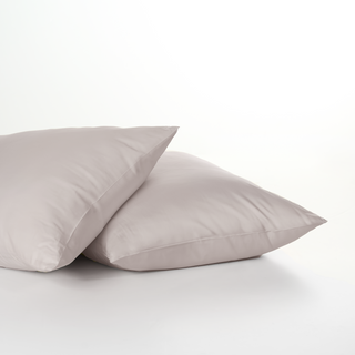 lost_shell_pillowcases_b07c8d36-4ff9-4f4c-a824-ec5e66c12ef5.png